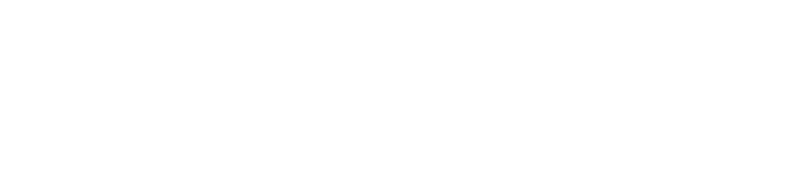 Sponsor