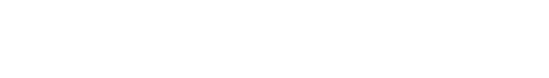 Sponsor